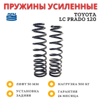 Пружины DenSprings задние Toyota LC Prado 120 лифт 50 мм нагрузка 300 кг