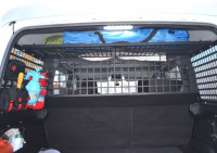 Решетка (защита) на окна багажника УАЗ Патриот 2015+ сетка (к-т 2 шт)