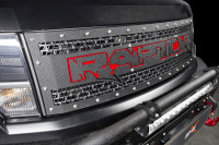 Решетка радиатора BMS RAPTOR для Форд Ф-150 Раптор 2009-2014