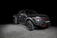 Бампер силовой передний BMS ALFA для Ford F-150 Раптор 2009-2014 Бампер силовой передний BMS ALFA для Ford F-150 Раптор 2009-2014